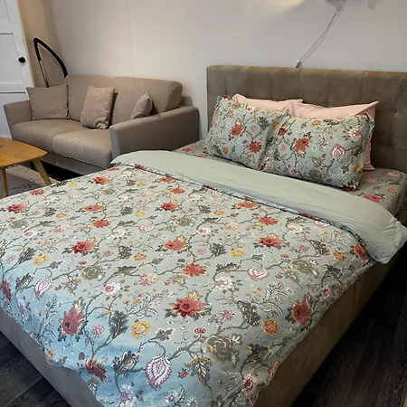 Апартаменты 1 Bedroom Near Kadriorg Swan Pond Таллин