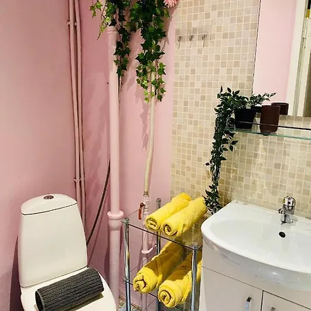 1 Bedroom Near Kadriorg Swan Pond 公寓
