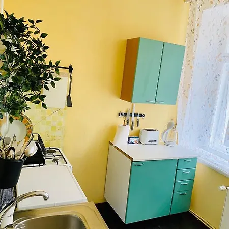 公寓 1 Bedroom Near Kadriorg Swan Pond