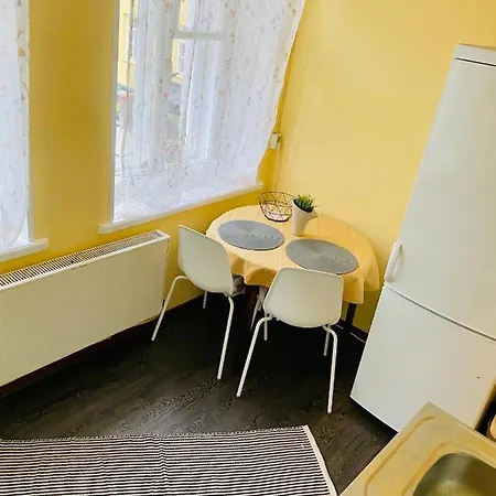 1 Bedroom Near Kadriorg Swan Pond 公寓