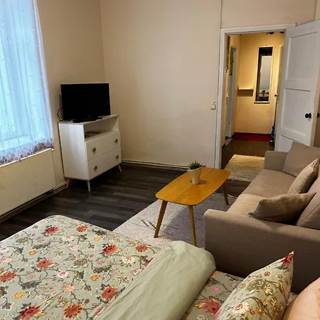 1 Bedroom Near Kadriorg Swan Pond Lejlighed Tallinn