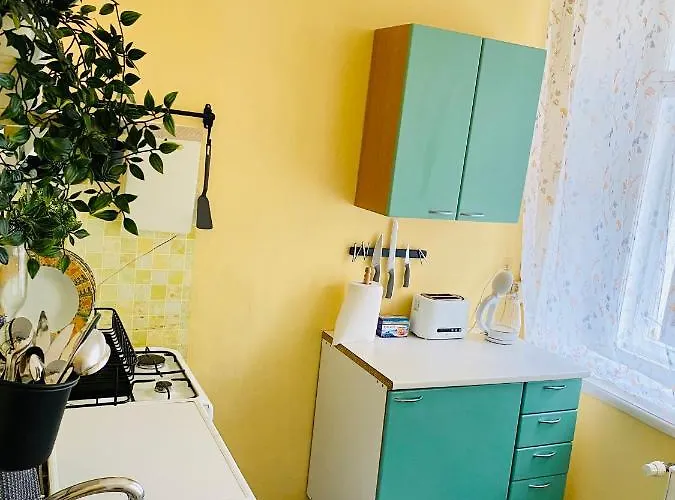 Lejlighed 1 Bedroom Near Kadriorg Swan Pond