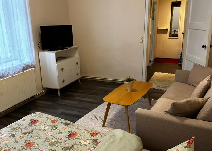 1 Bedroom Near Kadriorg Swan Pond Lejlighed Tallinn